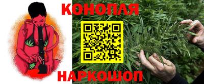 гашик Аргун